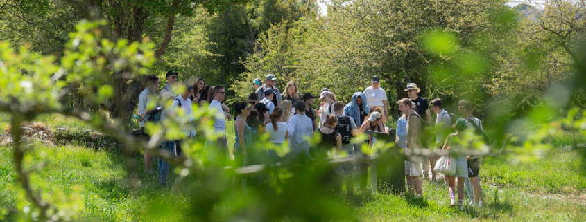 People in the a park at the 10 Days of INGENIUM event